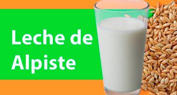 La leche de alpiste y sus propiedades